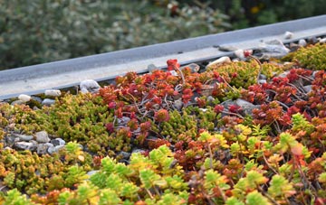 the cost of Cefncaeau green roof installation