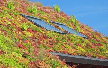 Cefncaeau living roof systems